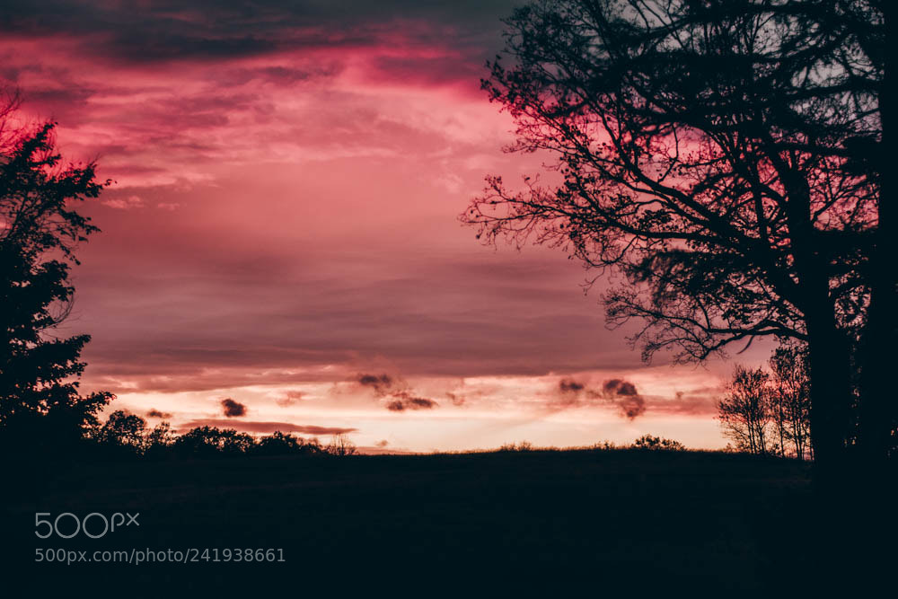 Nikon D7100 sample photo. Red sky photography