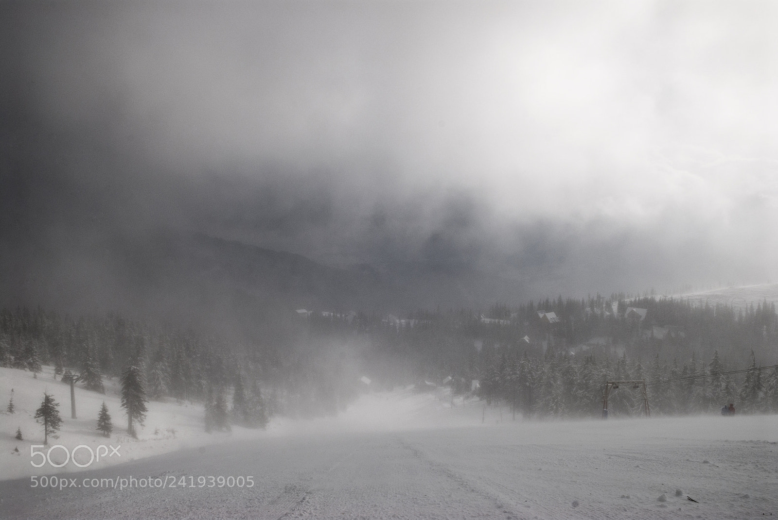 Nikon D200 sample photo. Into a storm photography