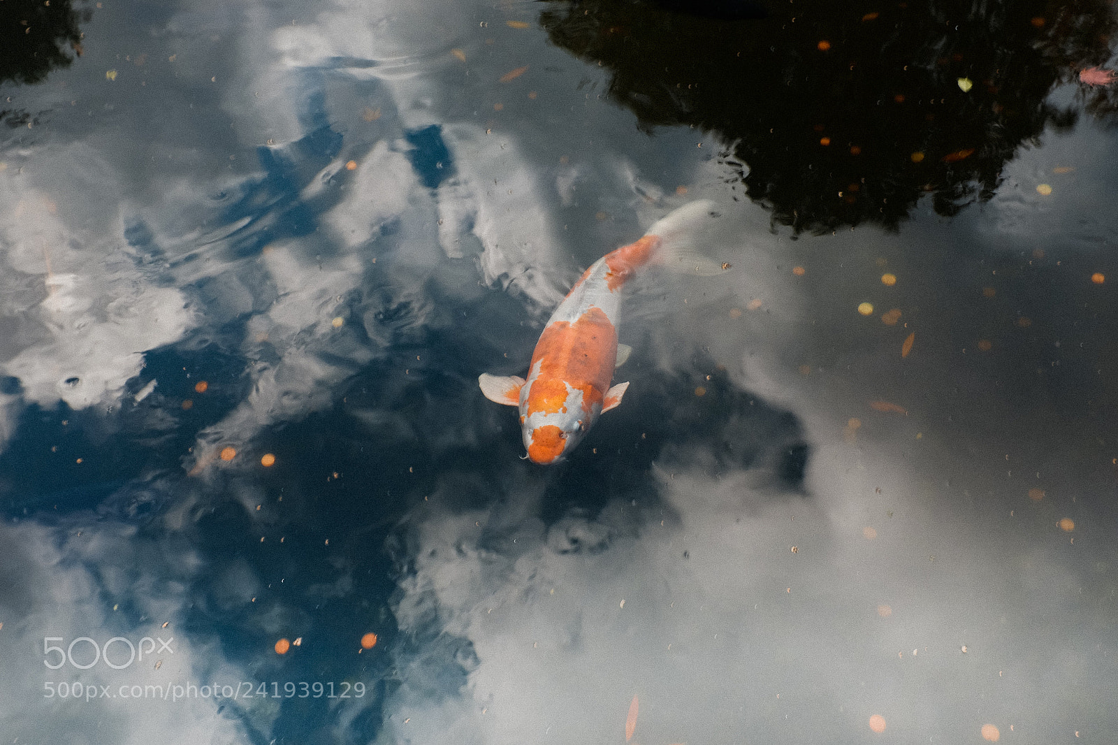 Fujifilm X100T sample photo. Untitled photography