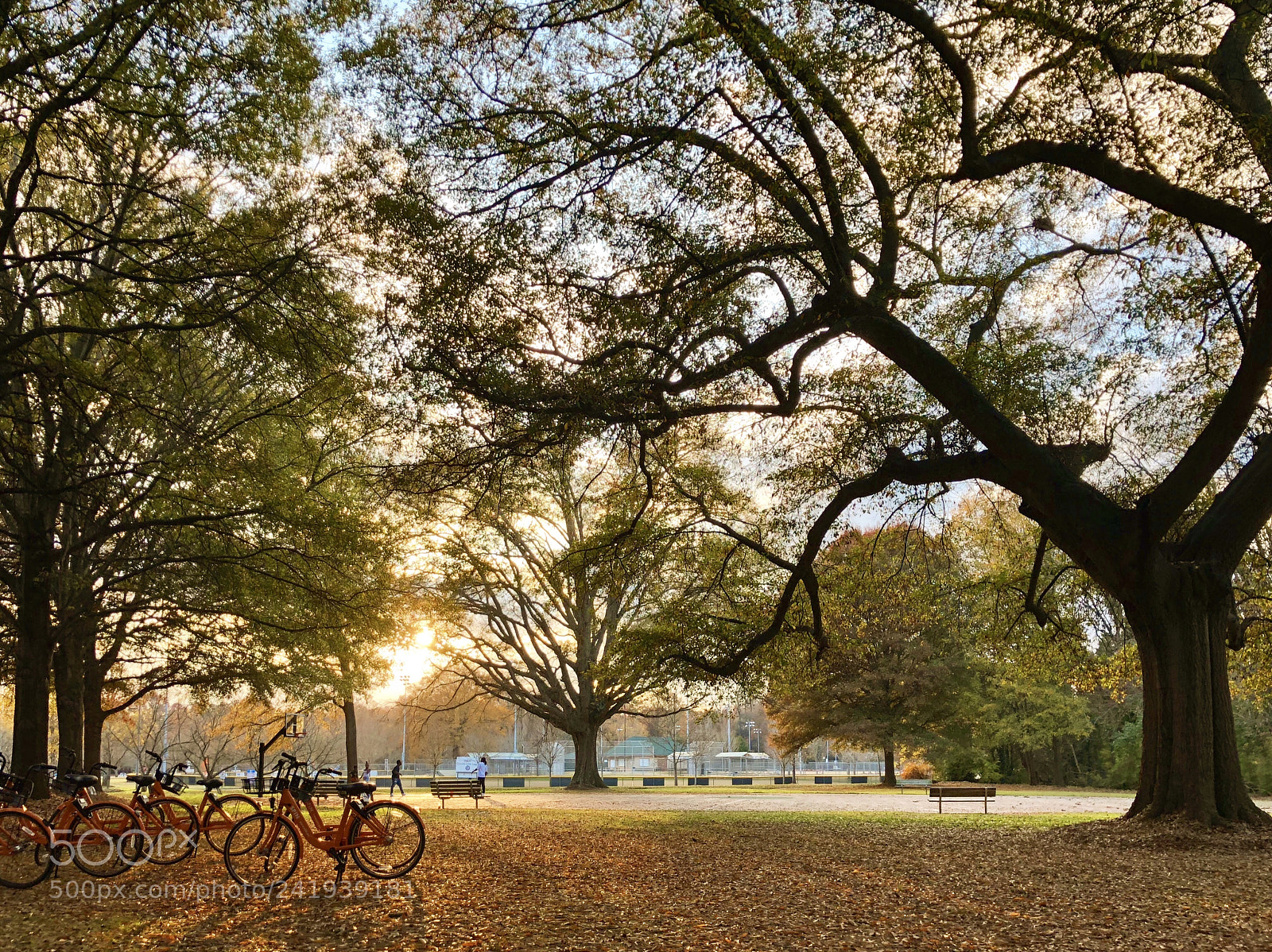 Apple iPhone X sample photo. Freedom park at sunset photography