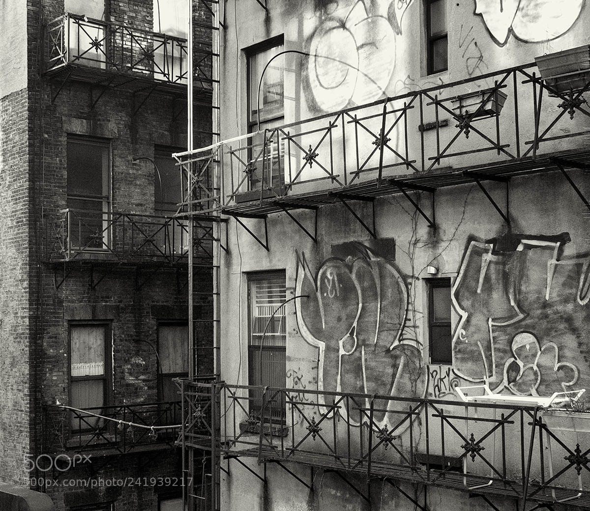 Fujifilm X100T sample photo. Looking out my window photography