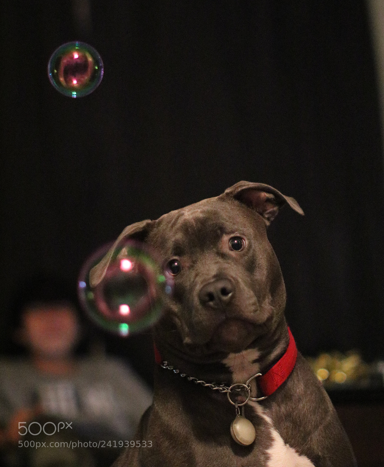 Canon EOS 750D (EOS Rebel T6i / EOS Kiss X8i) sample photo. Bubbles photography