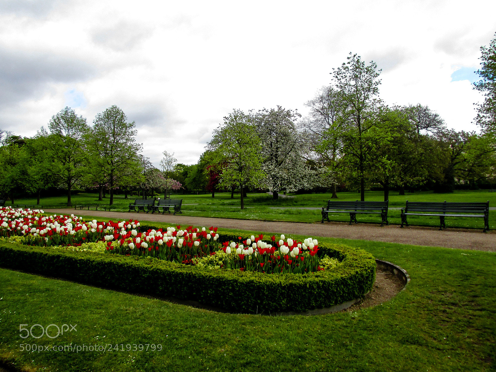 Canon PowerShot SX500 IS sample photo. London, england photography