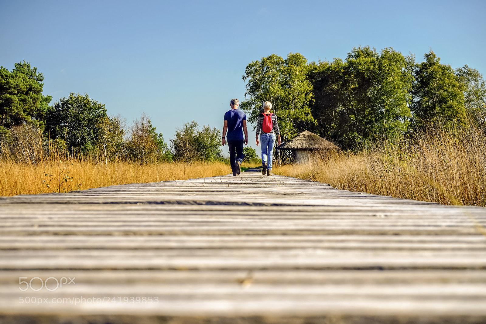 Sony a7 sample photo. #netherlands #grote peel photography