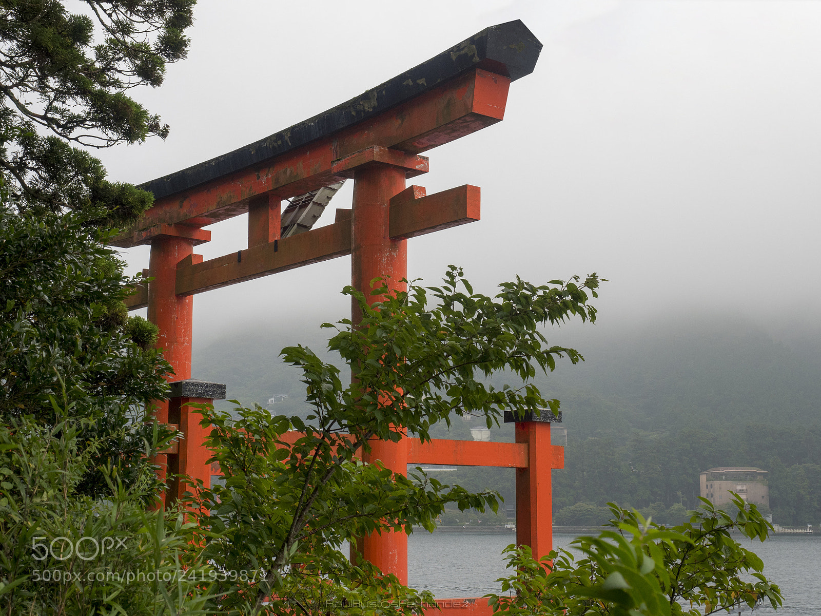 Olympus OM-D E-M5 II sample photo. Torii at ashi's lake photography