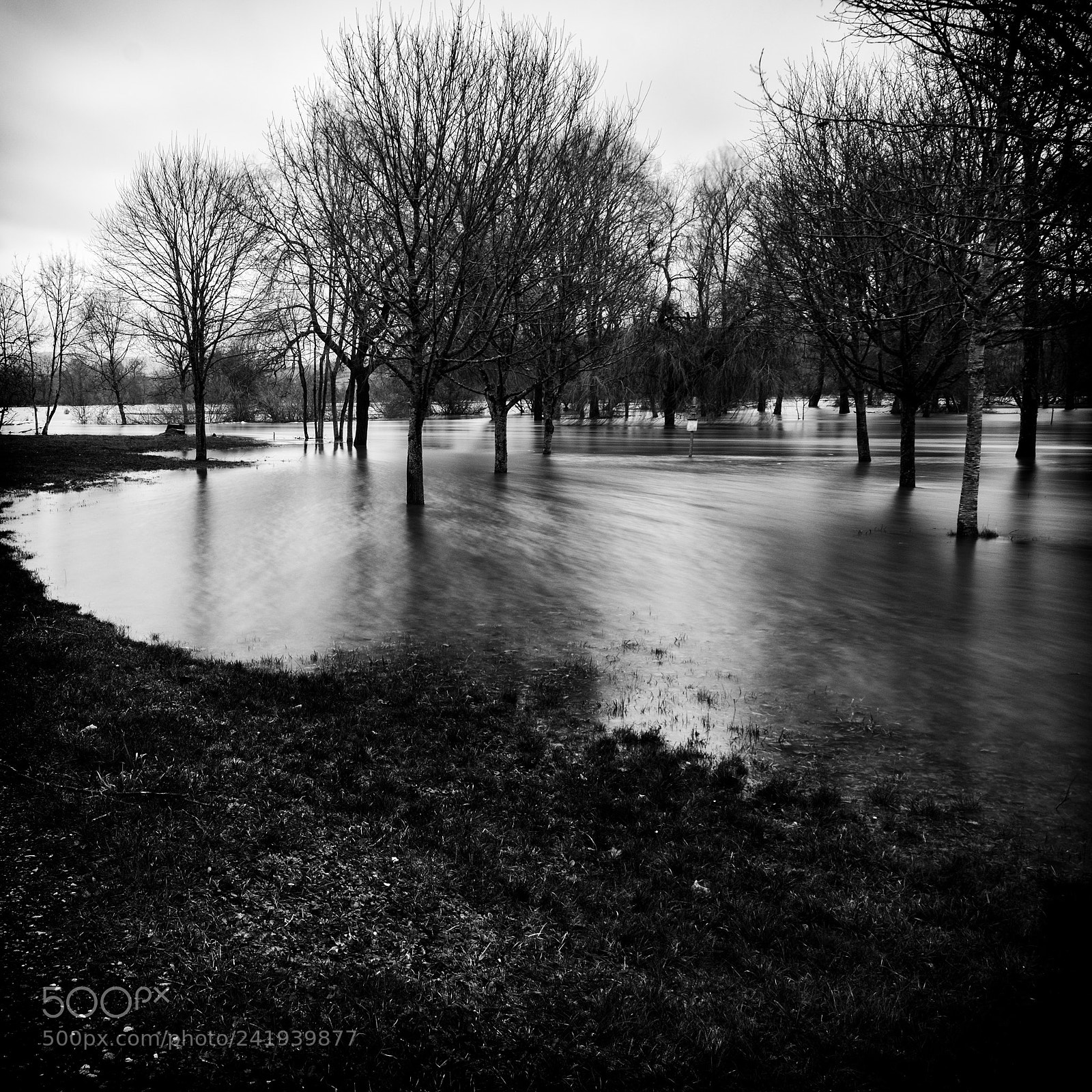Fujifilm X-T20 sample photo. The flood photography