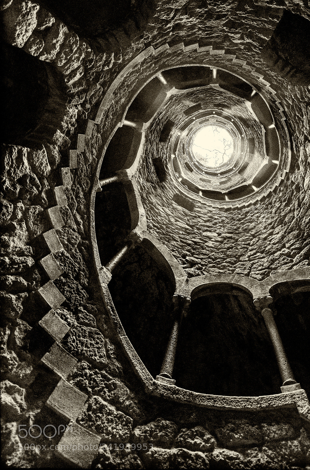 Nikon D800 sample photo. Spirale aurea photography