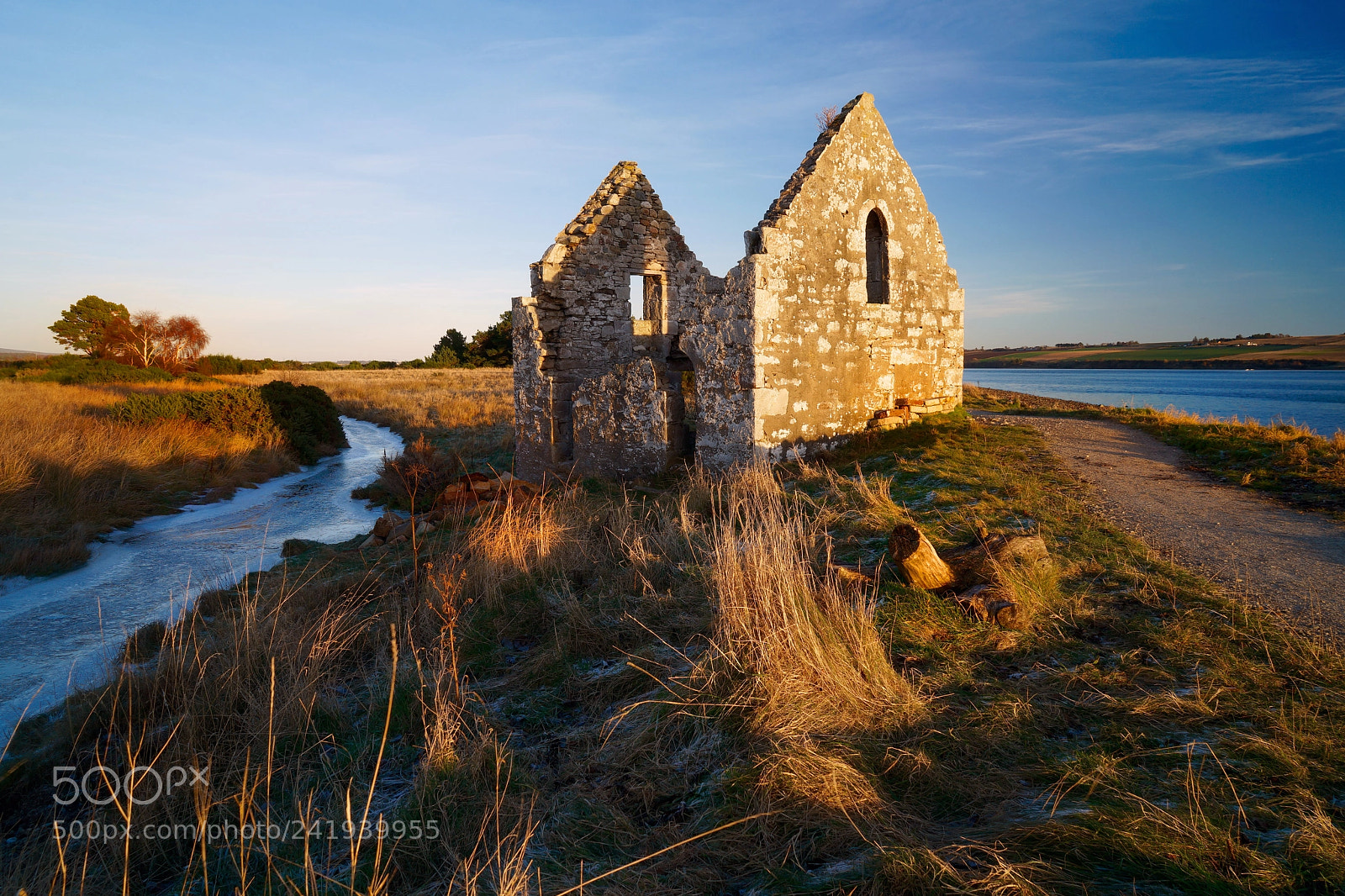 Sony a7 sample photo. Late afternoon, kiltearn, scottish photography