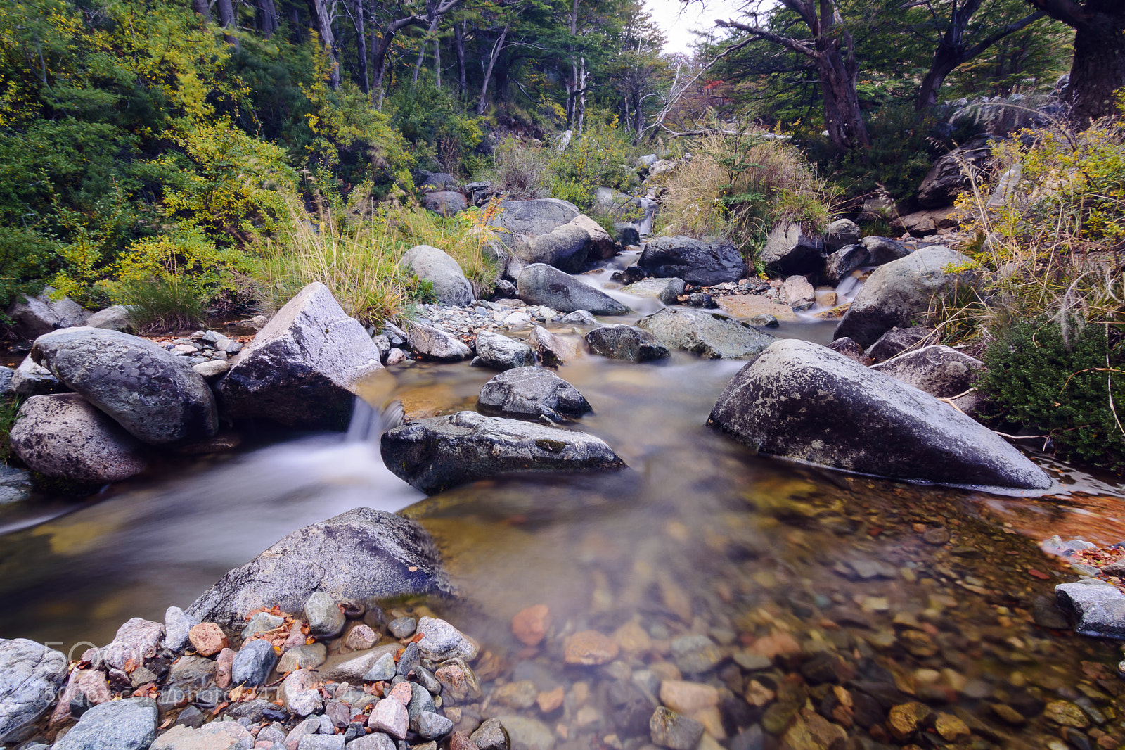 Nikon D7200 sample photo. Relax photography
