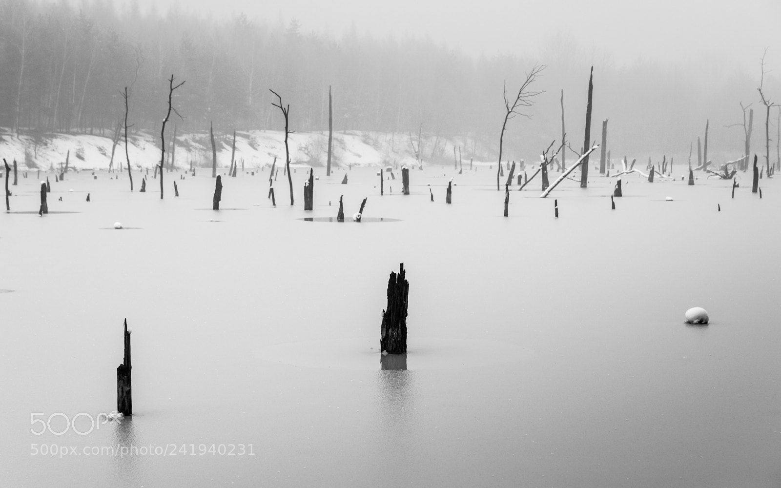 Nikon D7100 sample photo. Pond photography