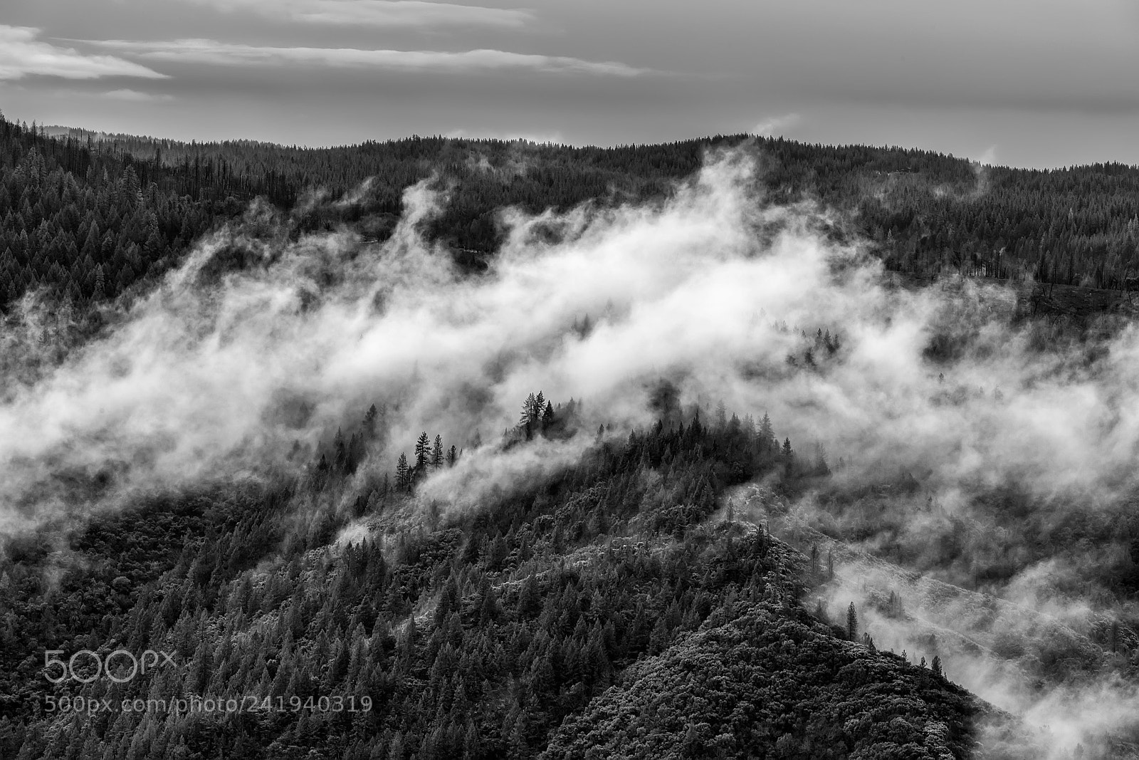 Nikon D5 sample photo. Low clouds photography