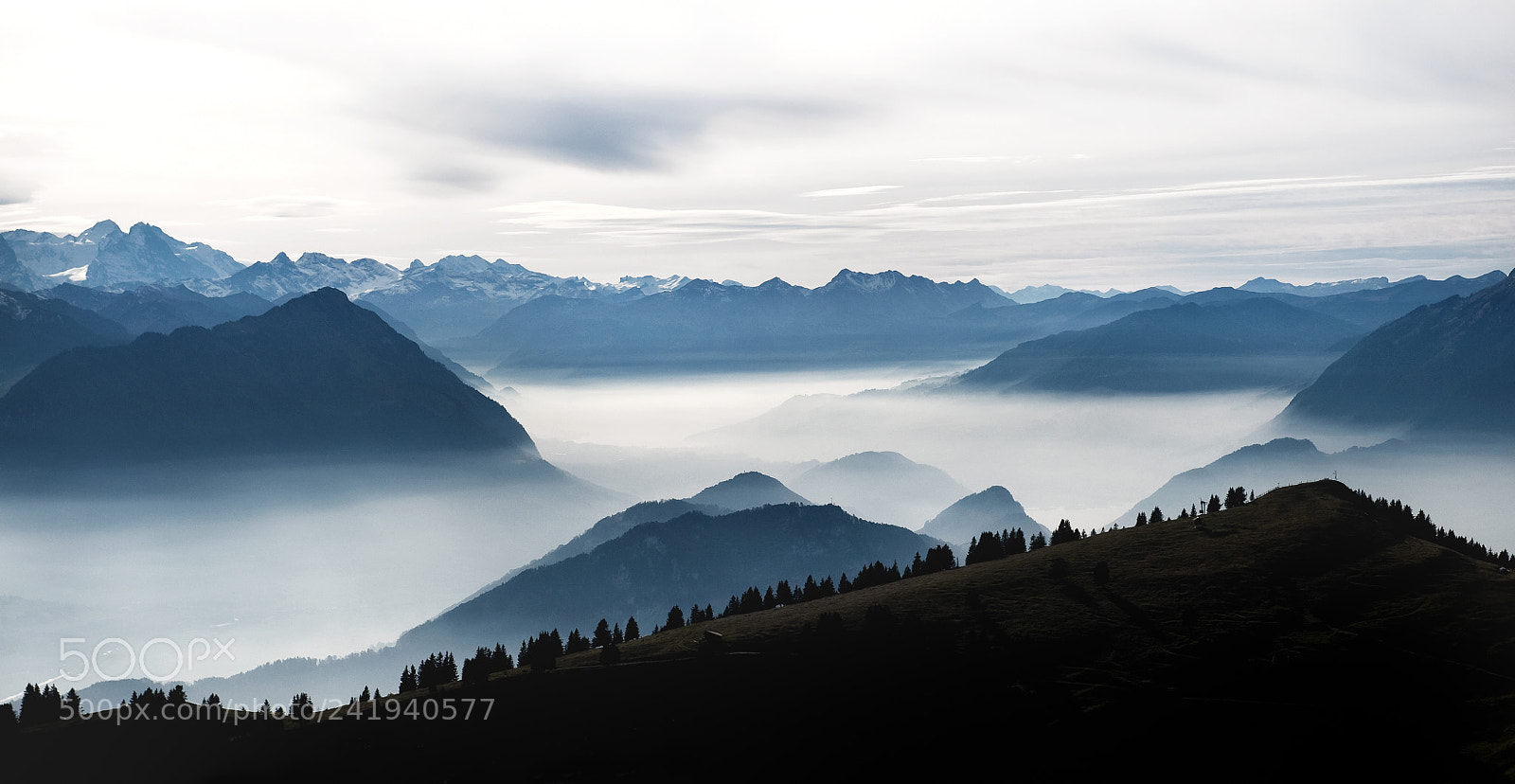 Nikon D3 sample photo. Foggy mood photography