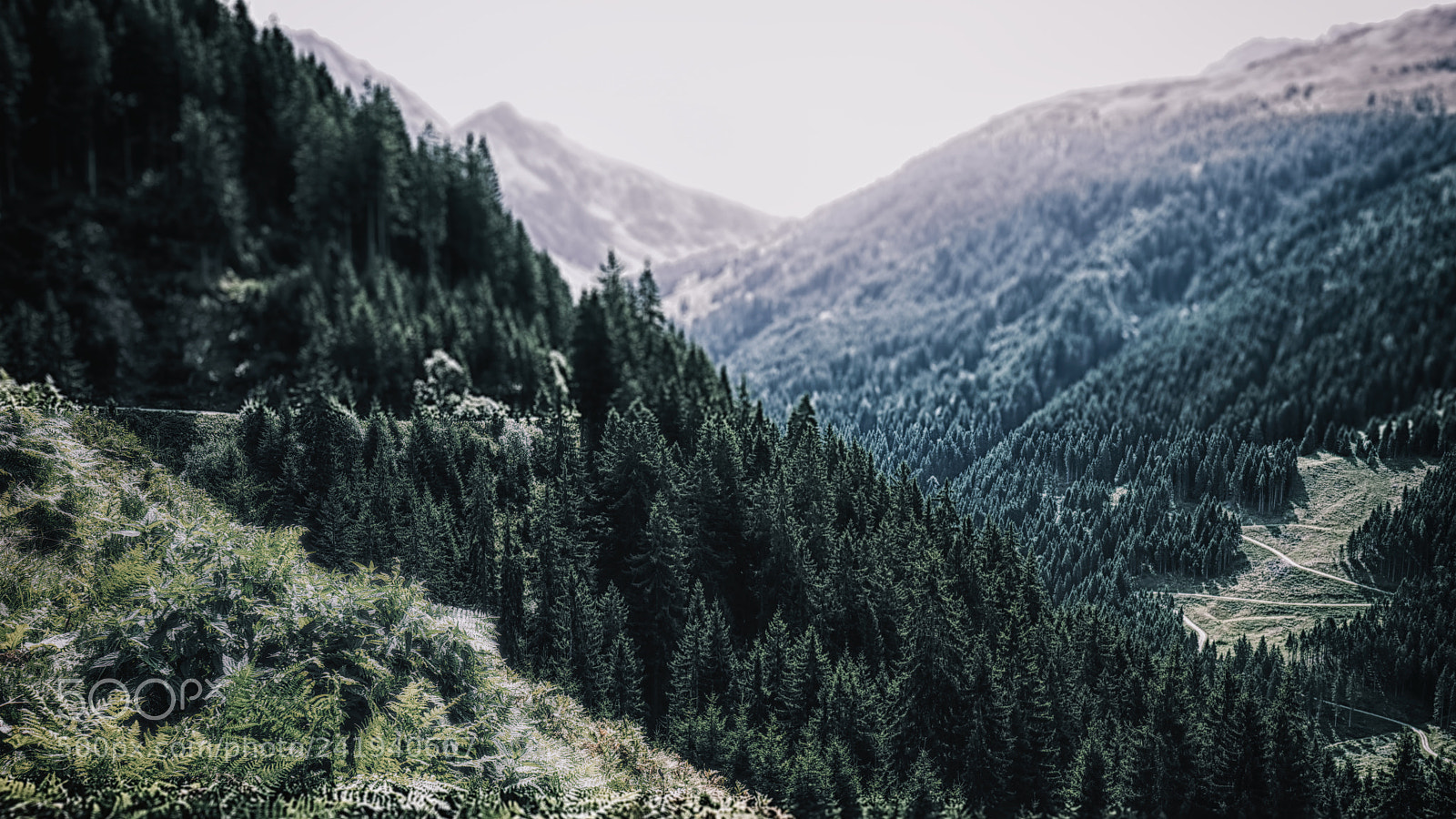Sony a7 sample photo. Nature of tirol photography