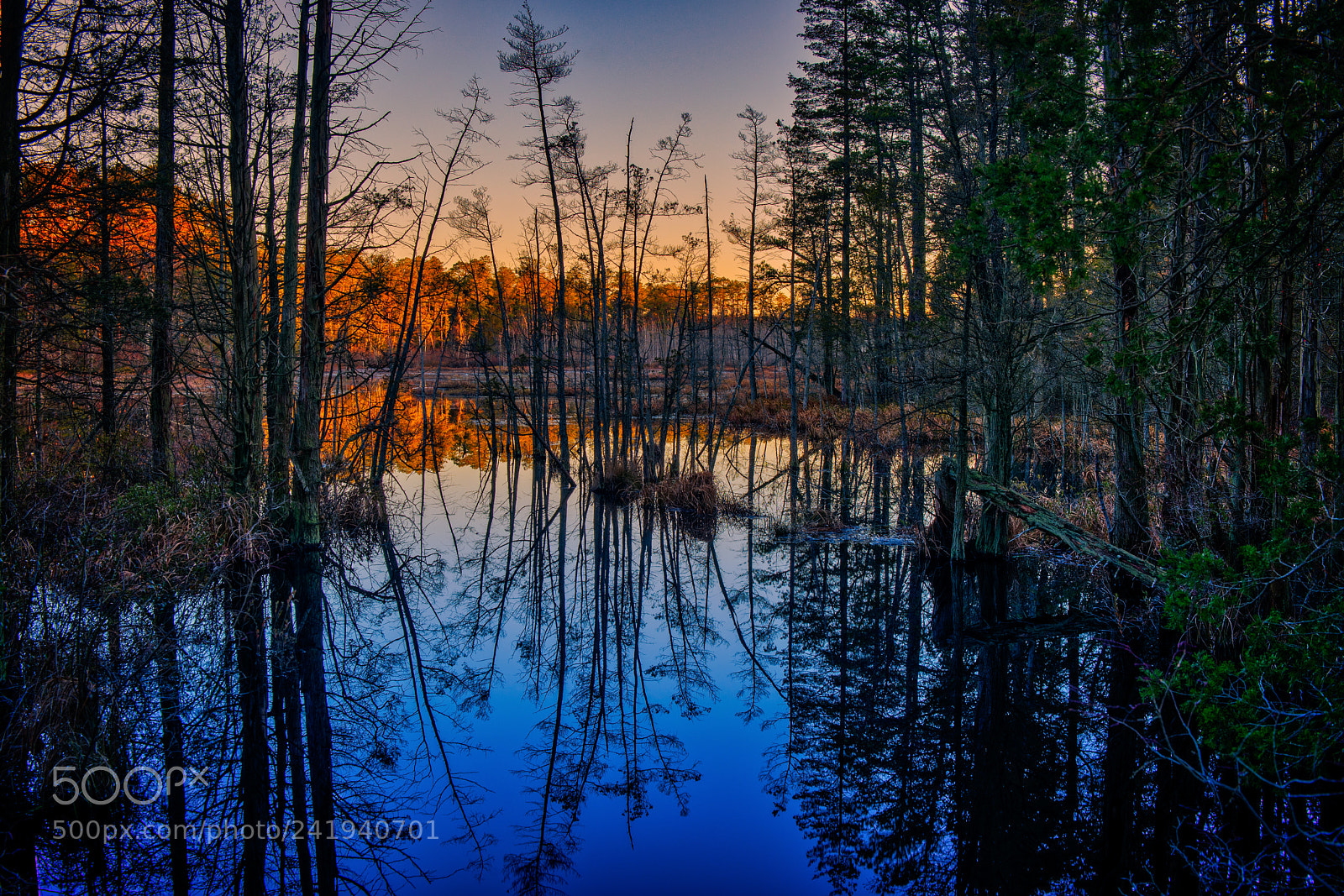 Nikon D600 sample photo. Pakim pond photography