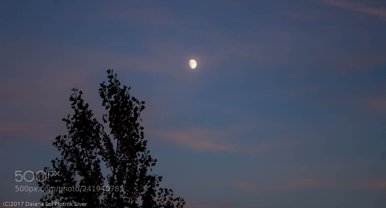 Canon EOS 1200D (EOS Rebel T5 / EOS Kiss X70 / EOS Hi) sample photo. Cielo nocturno photography
