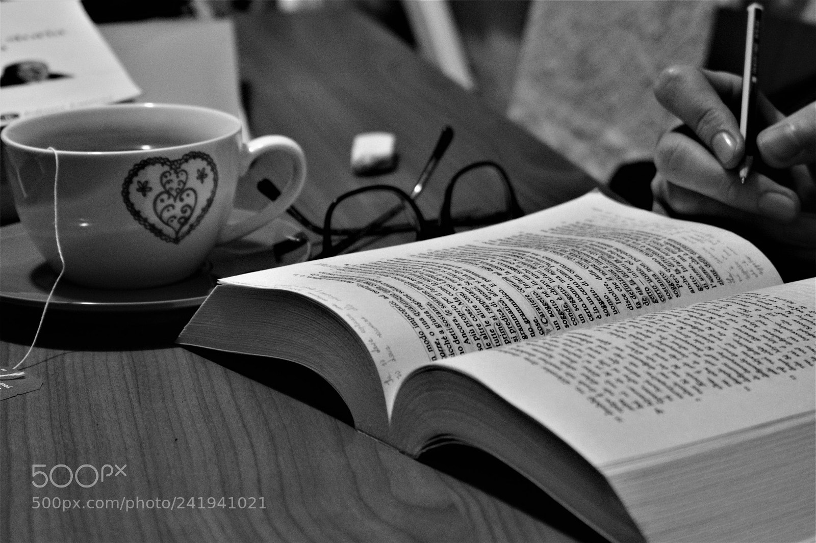 Nikon D3400 sample photo. Dear aristotle photography