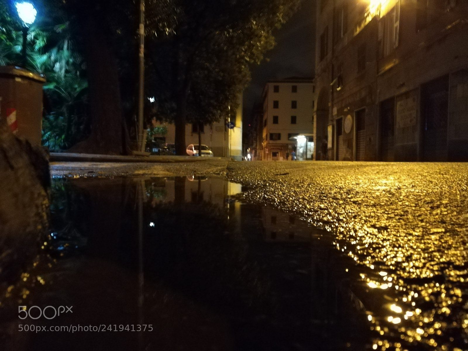 HUAWEI honor 6x sample photo. New look photography