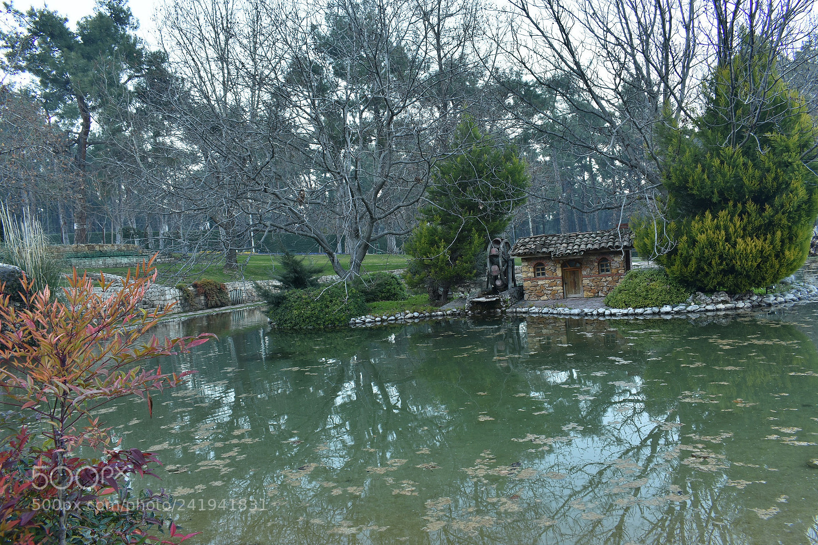 Nikon D3400 sample photo. Mini house photography