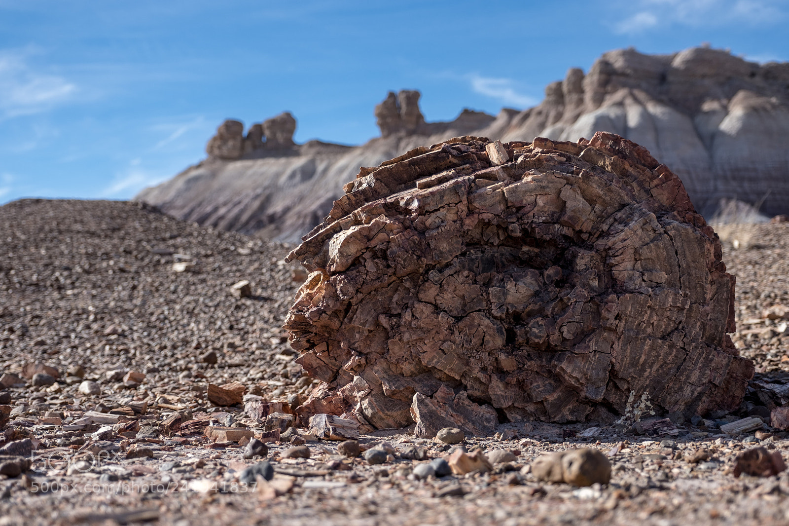Fujifilm X-T2 sample photo. Petrified wood photography