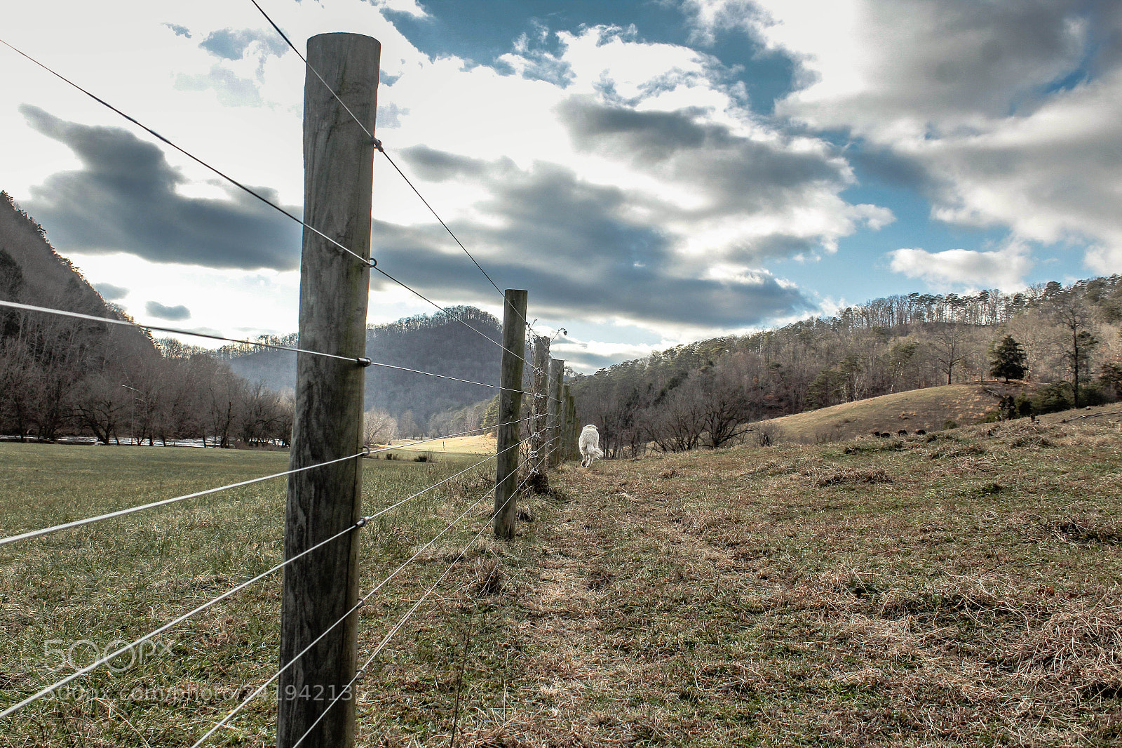 Canon EOS 1200D (EOS Rebel T5 / EOS Kiss X70 / EOS Hi) sample photo. Fence lines to the photography