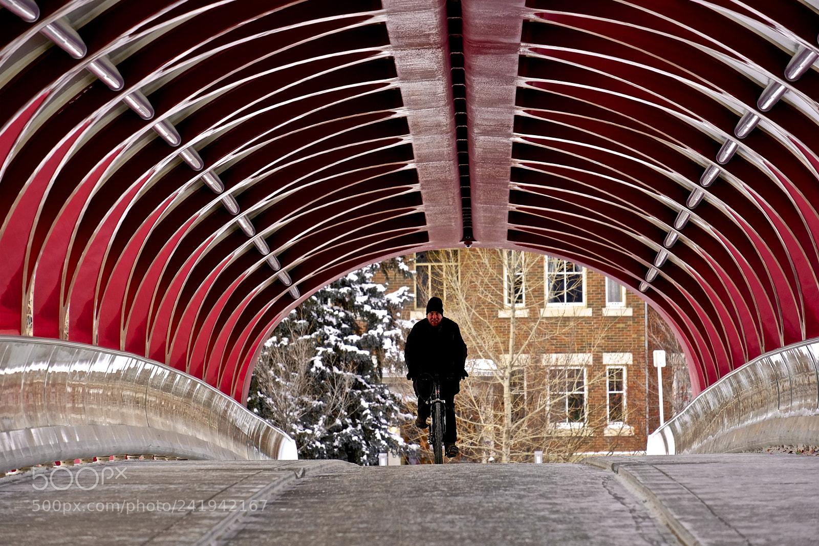 Fujifilm X-T2 sample photo. Calgary photography