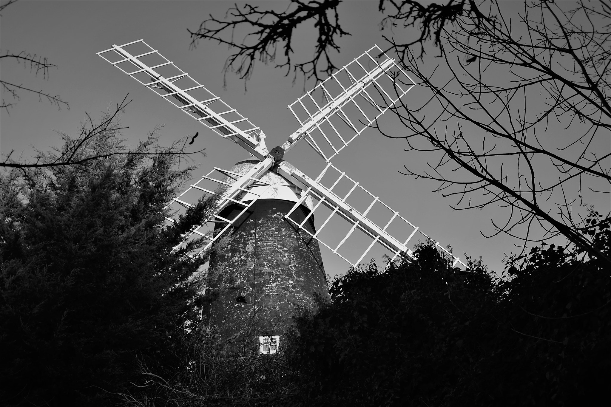 Nikon D3100 sample photo. Moulin photography