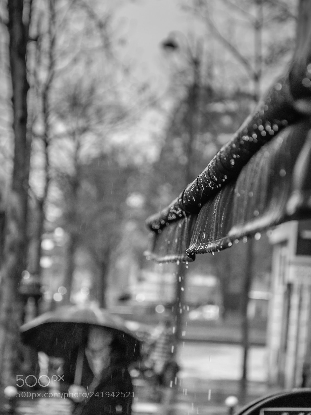 Nikon D90 sample photo. Rain in paris photography