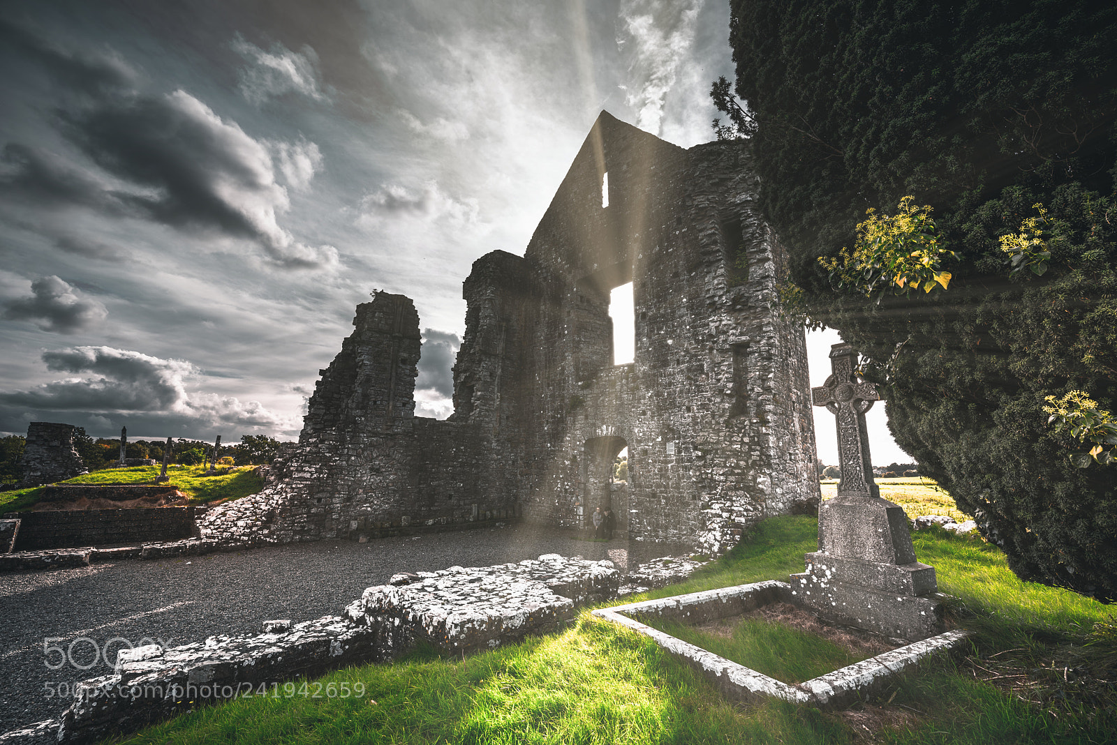 Nikon D810 sample photo. Castle of light photography