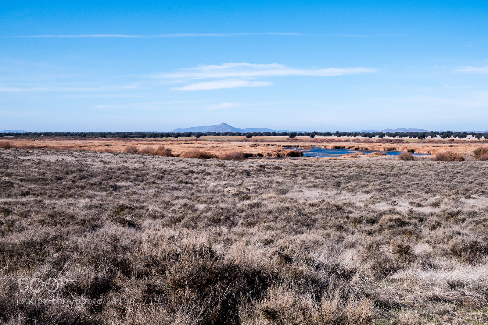 Fujifilm X-T2 sample photo. Tablas de daimiel photography