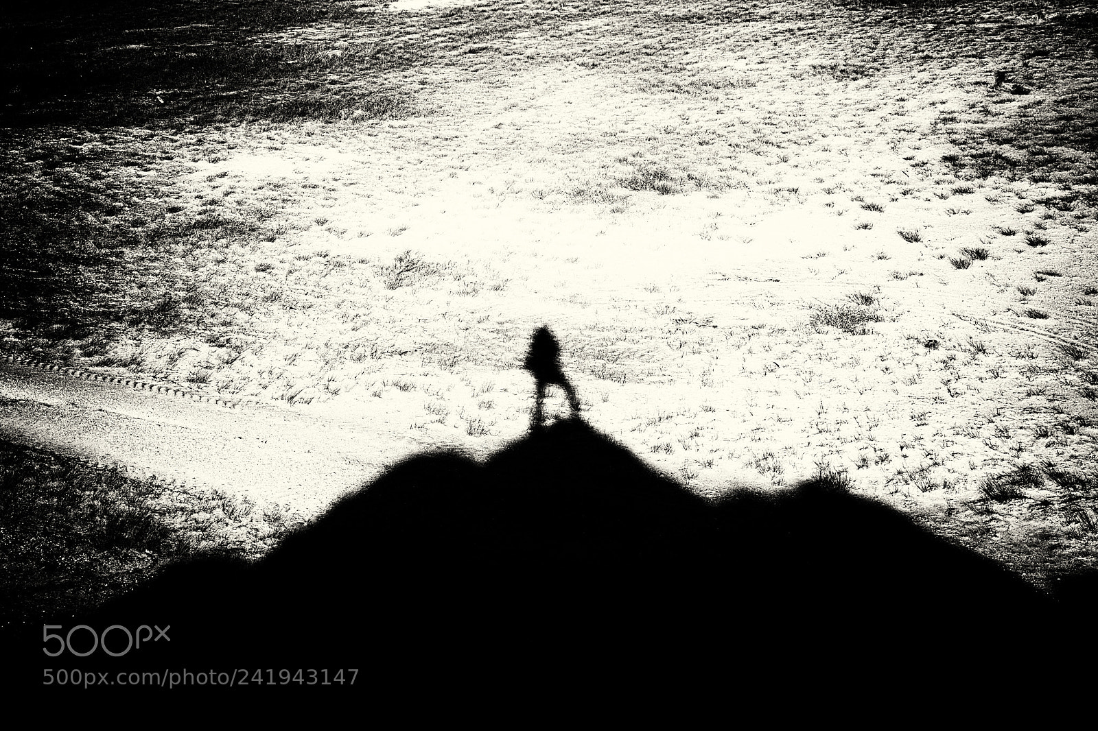 Nikon D7500 sample photo. Climbing higher mountains photography