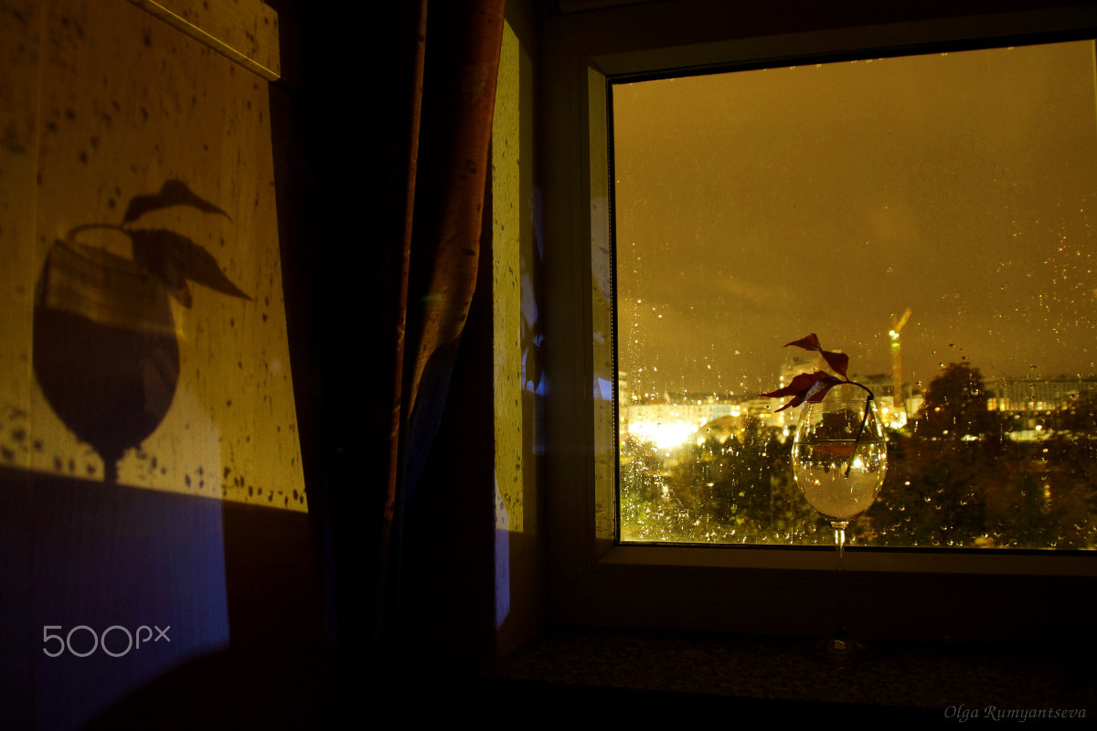 Canon EOS 50D sample photo. Evening in burgundy colors. photography
