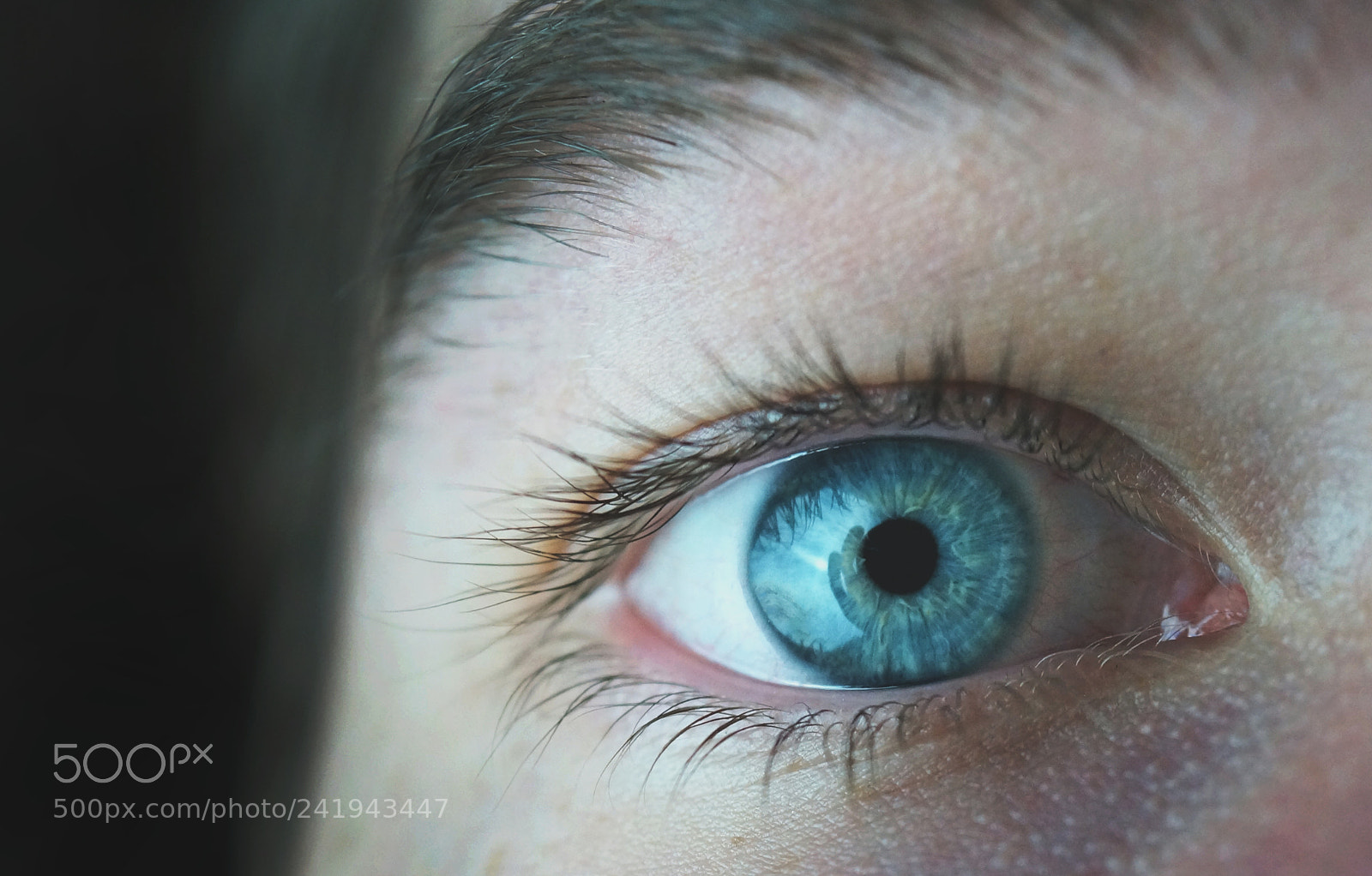Sony SLT-A57 sample photo. Quinns perfect eye photography