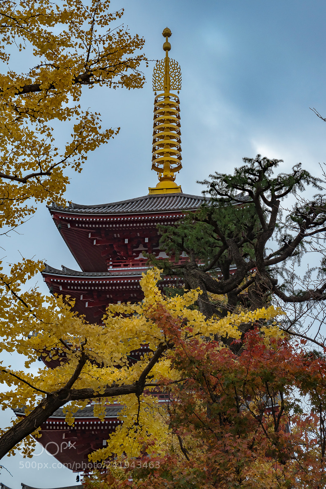 Nikon D5500 sample photo. Kannon temple tokyo photography