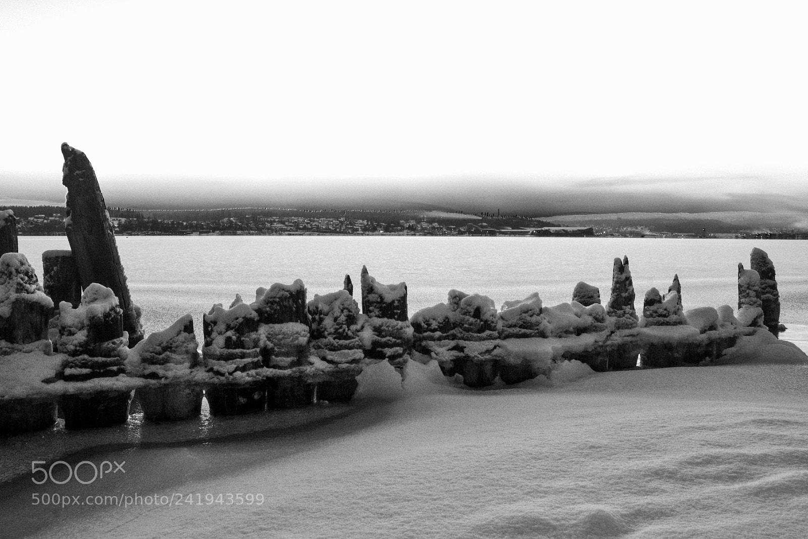 Canon EOS 550D (EOS Rebel T2i / EOS Kiss X4) sample photo. Winter by the bay photography