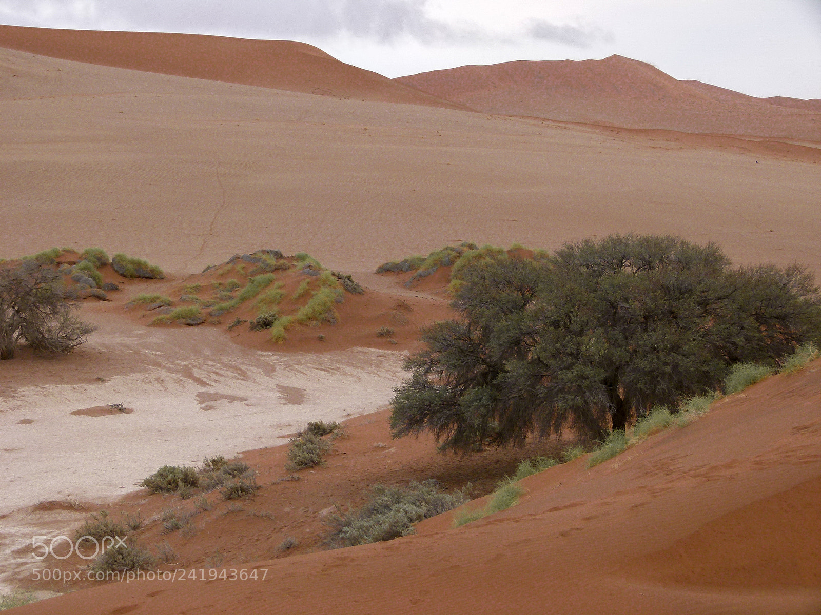 Panasonic Lumix DMC-FZ100 sample photo. Sossusvlei namib desert photography