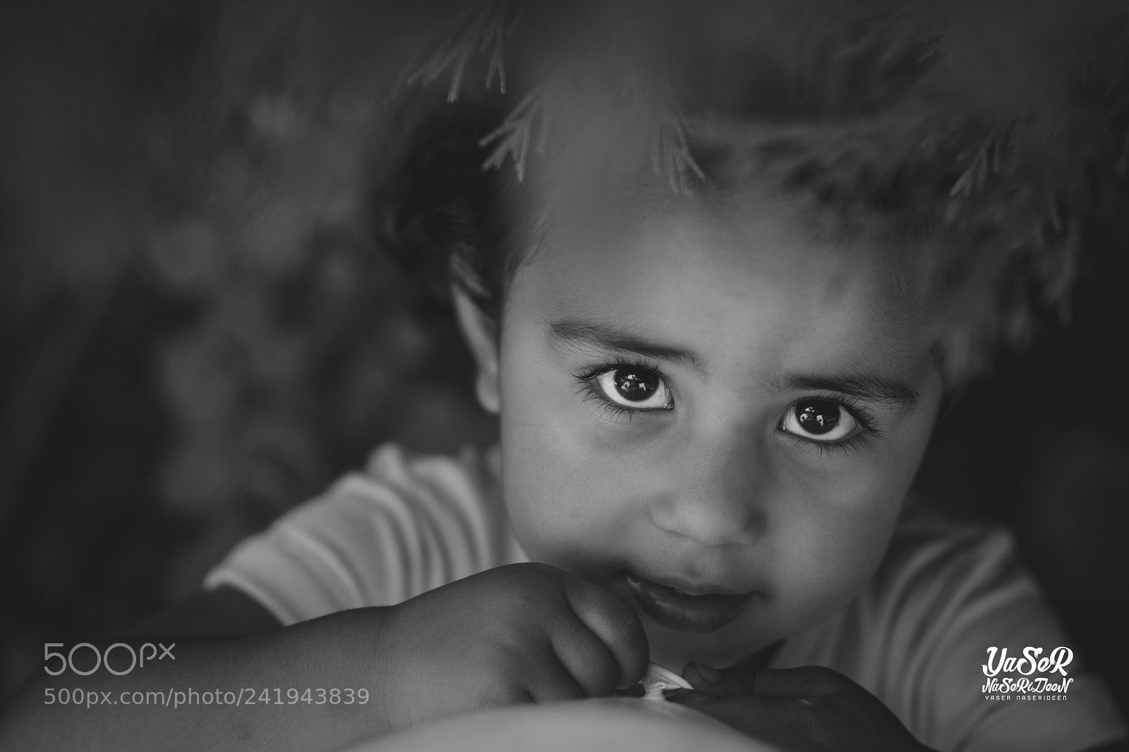 Nikon D7100 sample photo. Eyes photography