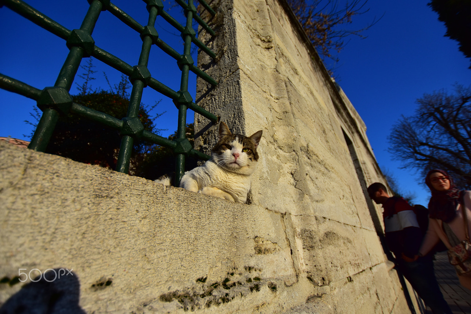 Nikon D7200 + Sigma 10-20mm F3.5 EX DC HSM sample photo. The guard ... photography