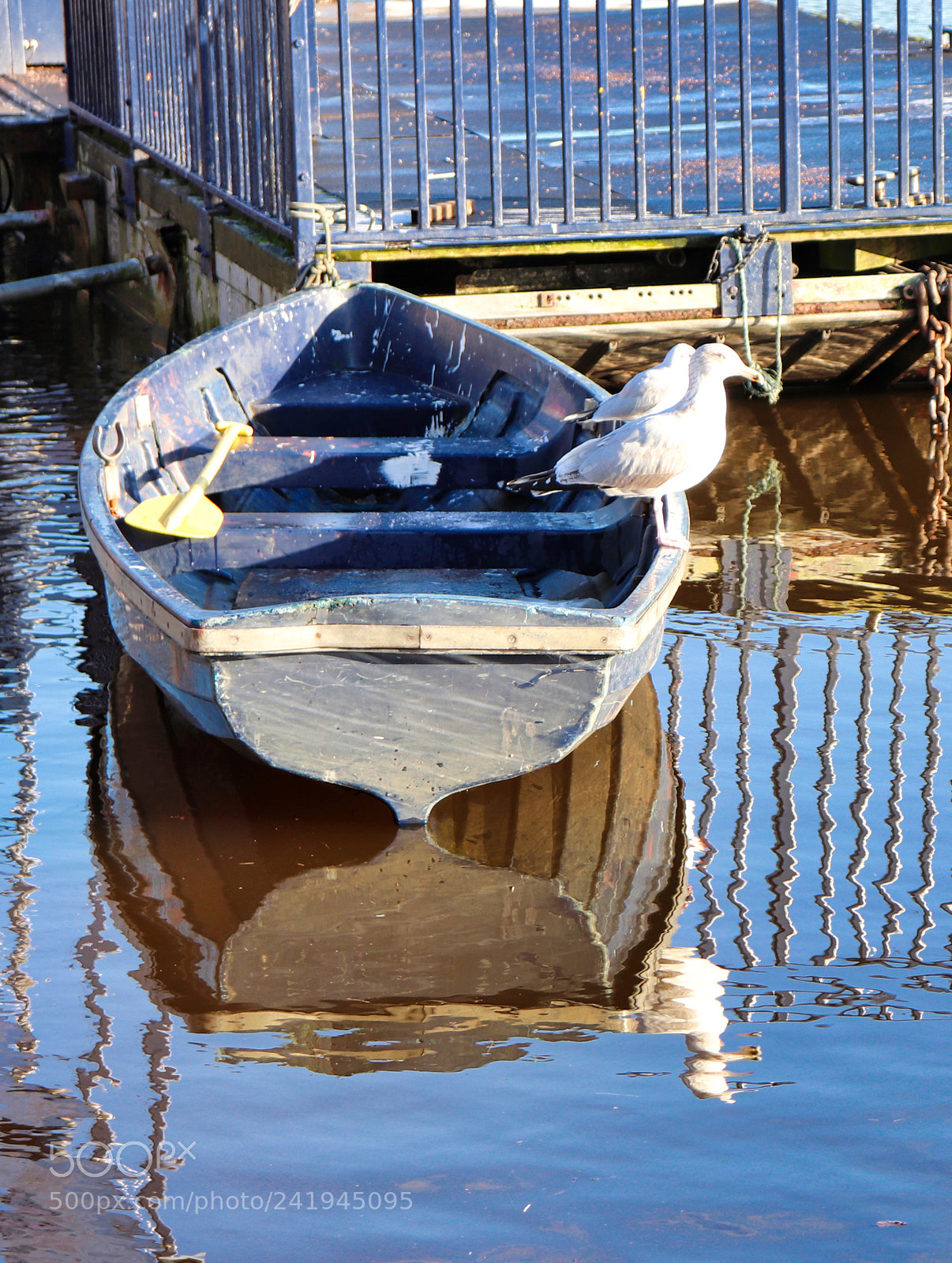 Canon EOS 200D (EOS Rebel SL2 / EOS Kiss X9) sample photo. Seagulls on a boat photography
