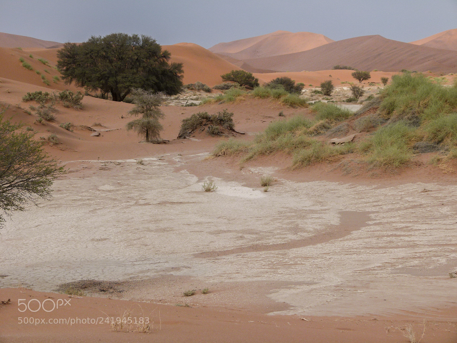 Panasonic Lumix DMC-FZ100 sample photo. Sossusvlei namibia photography