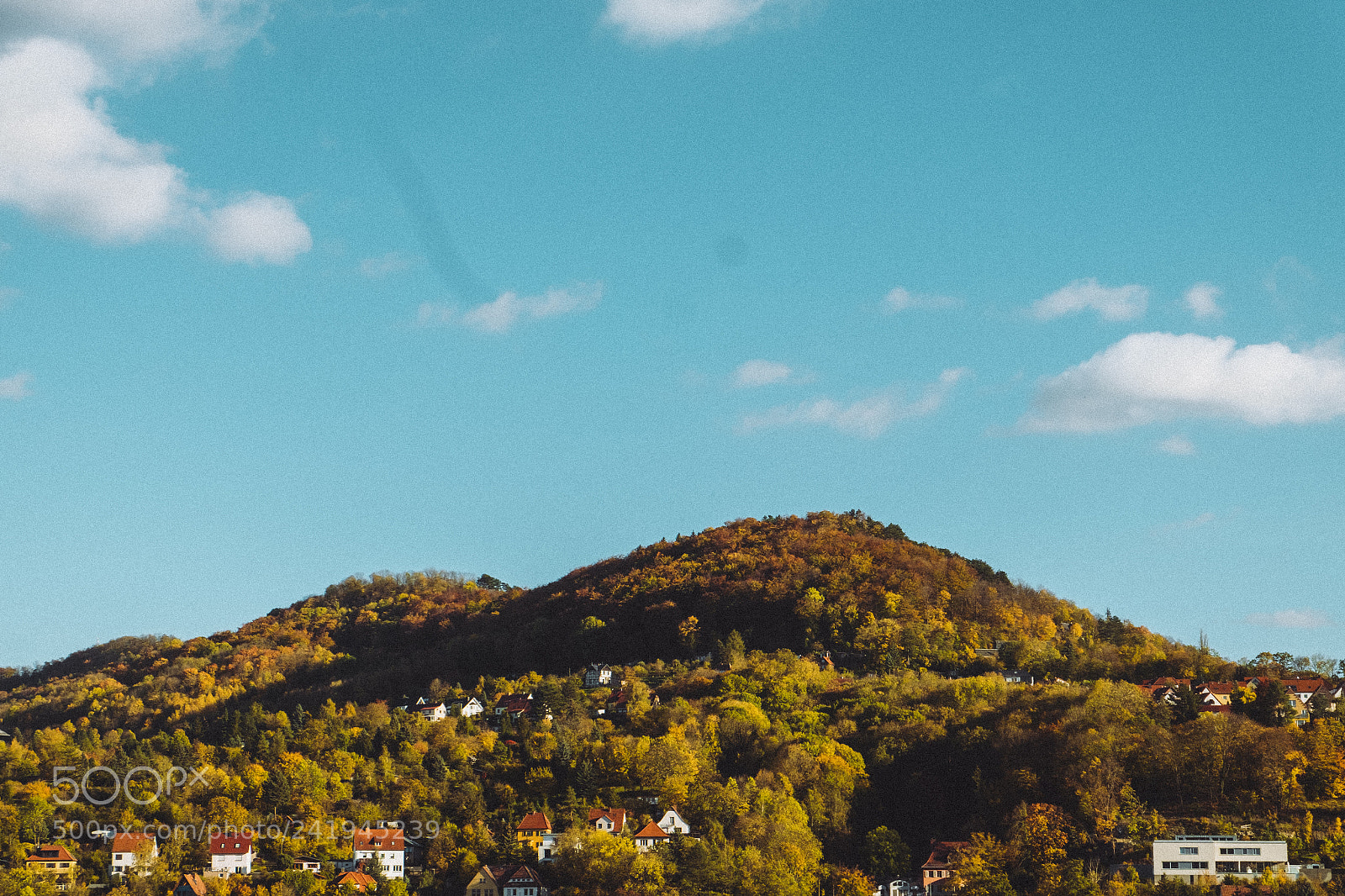 Fujifilm X-T10 sample photo. Golden autum photography