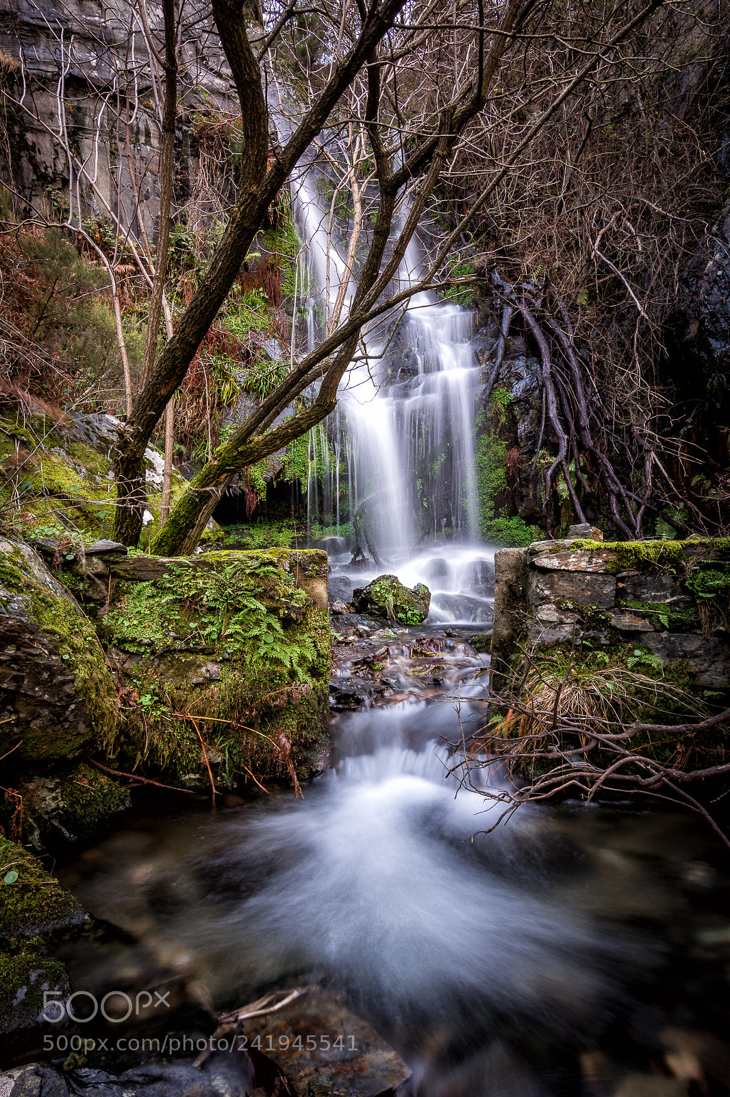 Nikon D7200 sample photo. Cow creek falls photography