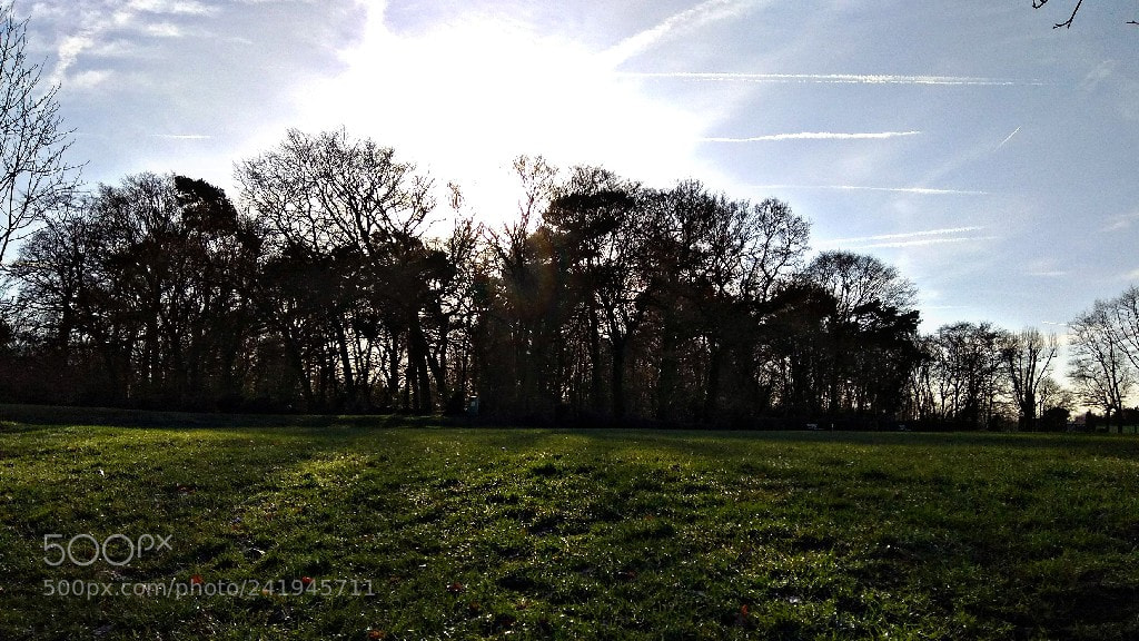 Xiaomi Redmi Note 4 sample photo. Sunny day photography