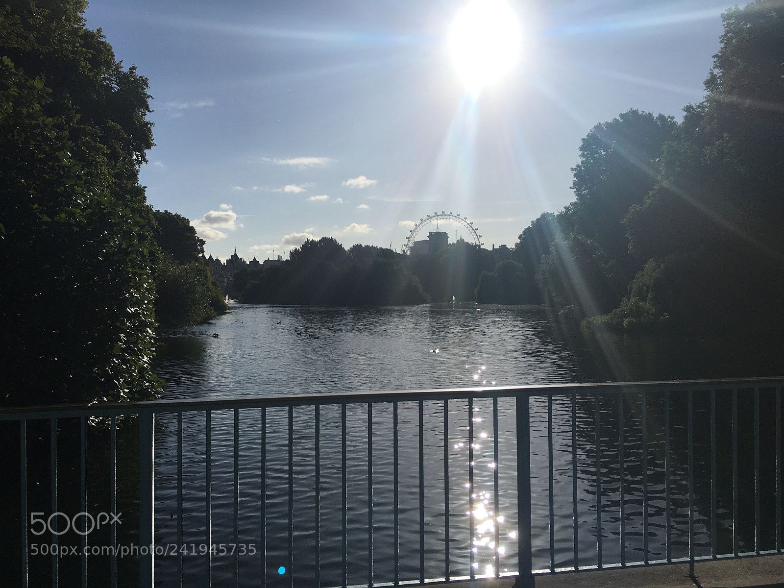Apple iPhone 6s sample photo. Lens flare image with photography