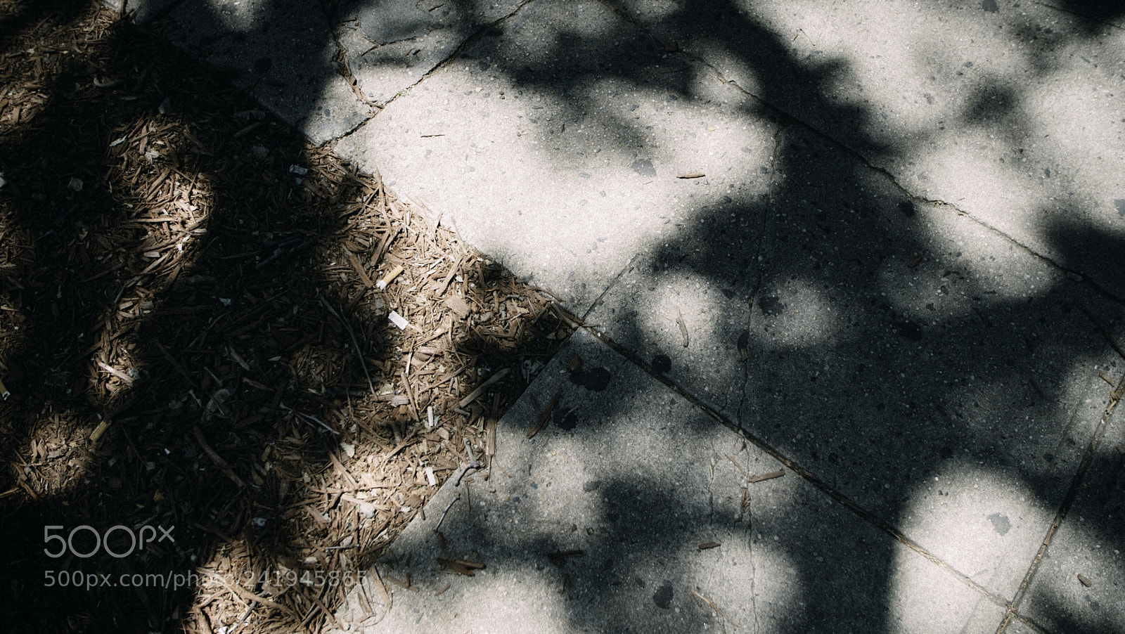 Sony a7S sample photo. Jjtv(of ) photography