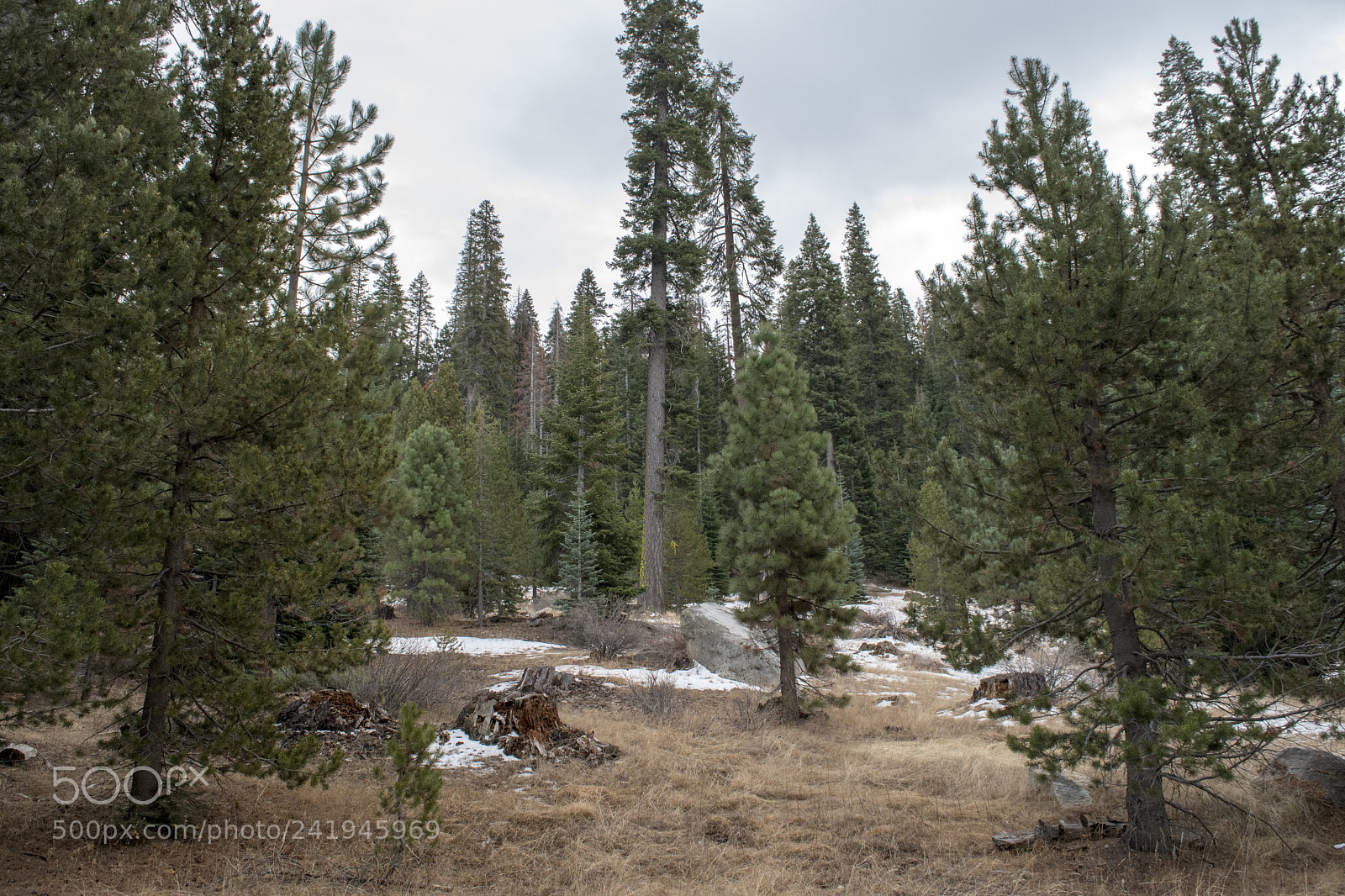 Nikon D5500 sample photo. On the rancheria falls photography