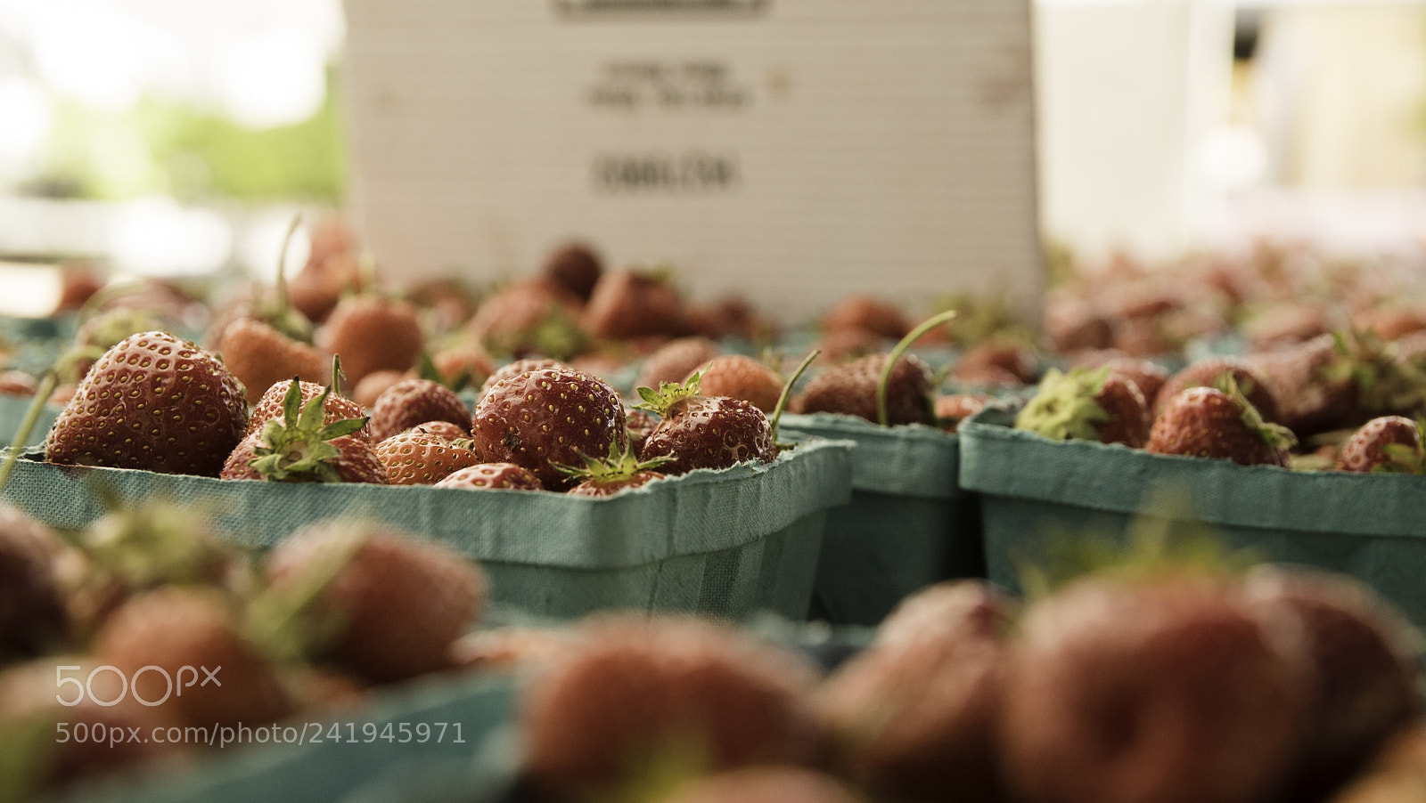Sony a7S sample photo. Jtv(of ) photography