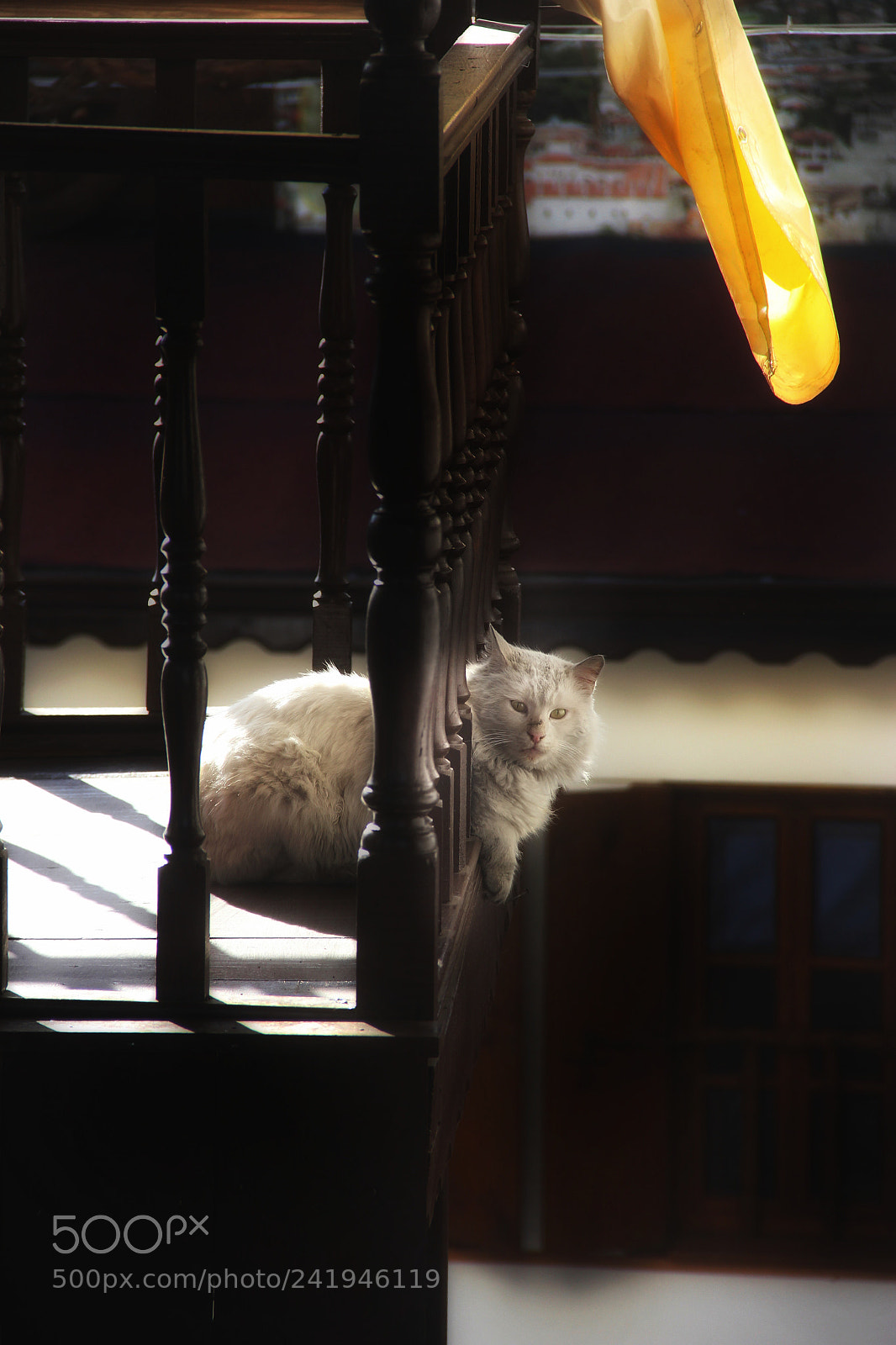 Canon EOS 60D sample photo. Untitled photography