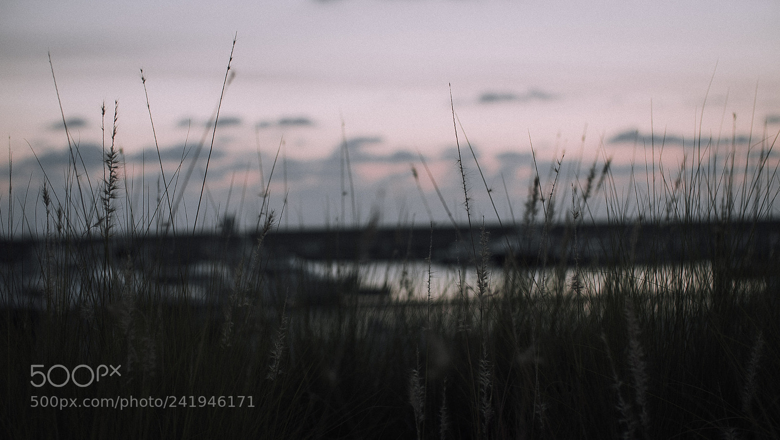 Sony a7S sample photo. Today (of ) photography