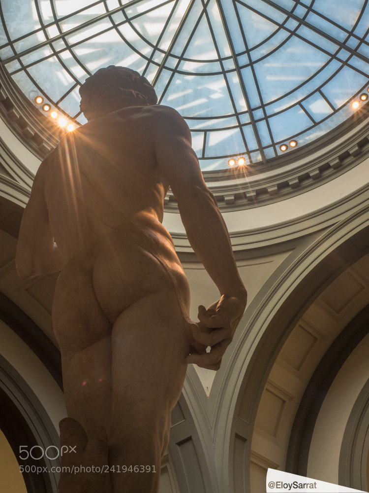 Olympus OM-D E-M5 II sample photo. David statue by michaelangelo photography