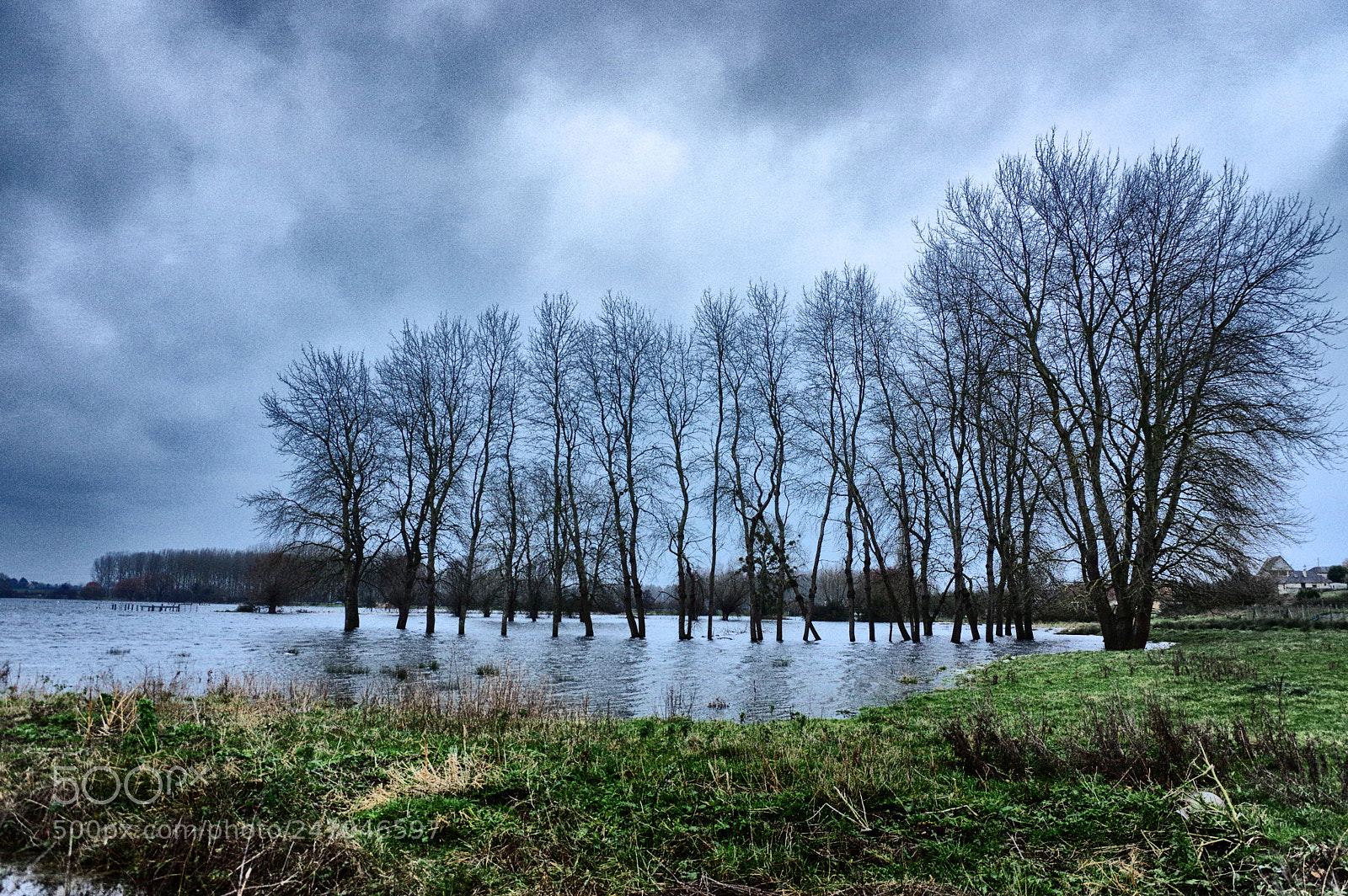 Pentax K-3 sample photo. Inondation marais photography